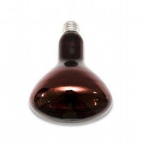 Лампа накаливания зеркальная ИК-облучатель краснная D127 250Вт Е27 220В ТД Калашников