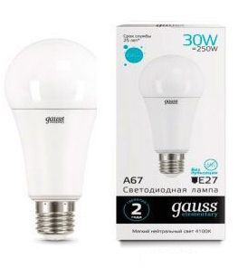   30W 4100K E27 A60 LED Gauss Elementary 