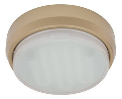   GX53 DGX5318  ECOLA 