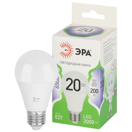   20W 6500K E27 A60 GL LED 