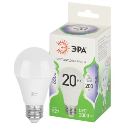   20W 6500K E27 A60 GL LED 