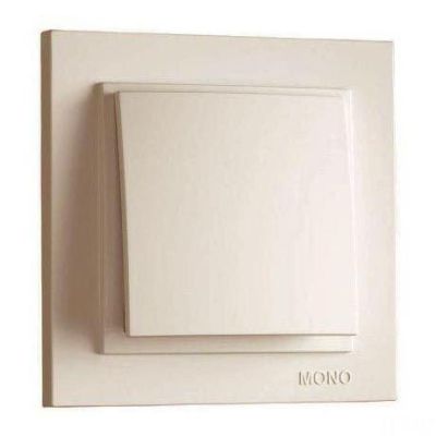  1-  /  MONO ELECTRIC