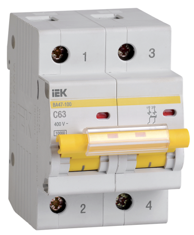   2- 47-100 63 10  IEK