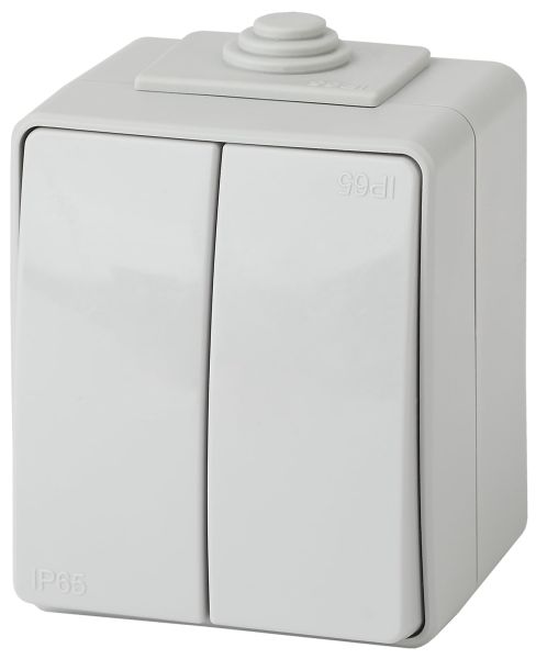 IP65 /  2-  10AX 250V 