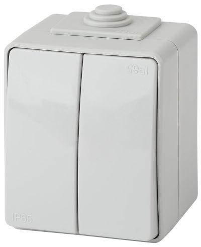 IP65 /  2-  10AX 250V 