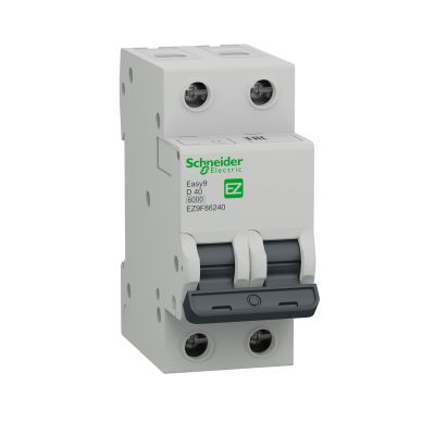  2P Easy9 2P 63A 300 AC- Schneider Electric