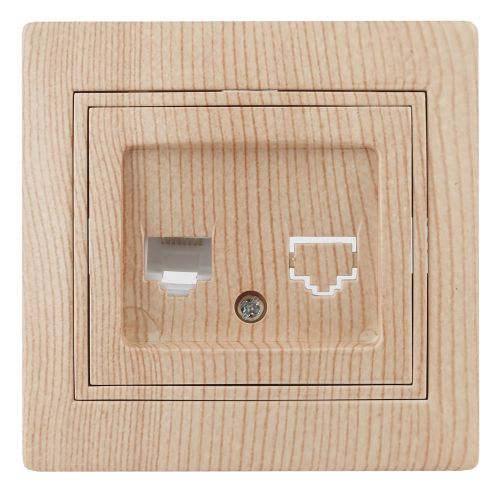   RJ45  Intro Plano 1-303-11