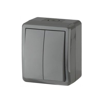 IP54 /  2- 10  