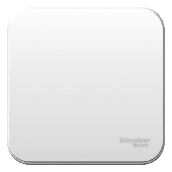  1-    .  10  Blanca Schneider BLNVA101011