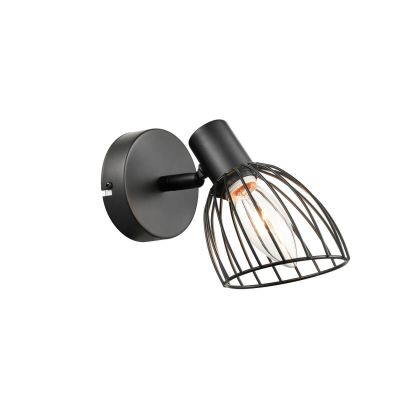  VL5382W01 VELE LUCE