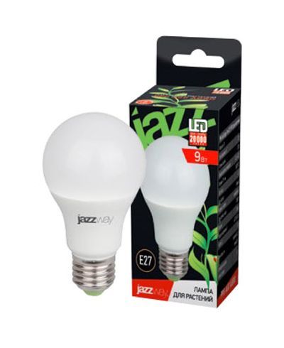 LED    Jazzway 9W 60 27