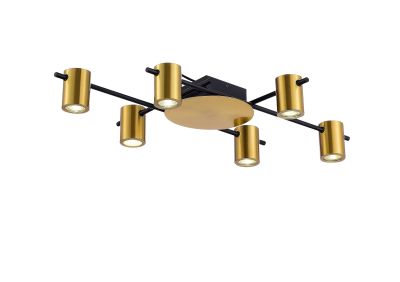  C1000-DWS-6 BLACK+BRASS  