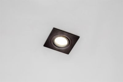   MR-16 CAST 79 Brushed   MaxLight 