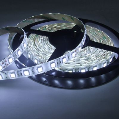   14,4W 60 LED IP20 6000K SMD5050 General