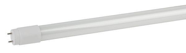 T8R 15W 6500 G13 230 800    IN HOME